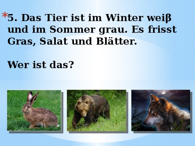 5. Das Tier ist im Winter weiβ und im Sommer grau. Es frisst Gras, Salat und Blätter.   Wer ist das? 