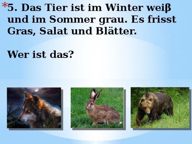 5. Das Tier ist im Winter weiβ und im Sommer grau. Es frisst Gras, Salat und Blätter.   Wer ist das? 