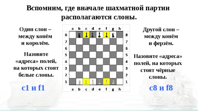 Сколькими способами можно поставить на шахматную доску 2 слонов