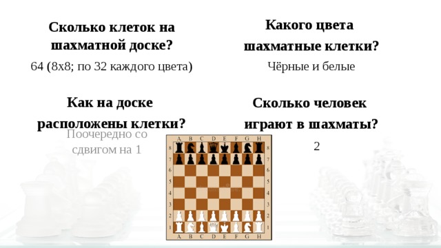 Сколько всего клеток на шахматной доске