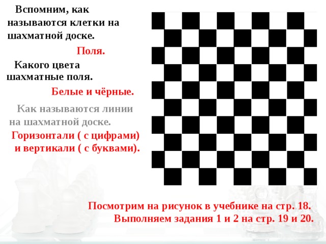 Сколько белых диагоналей на доске. Клетки шахматной доски. Шахматная доска название клеток. Шахматная доска с названием полей. Горизонталь и Вертикаль в шахматах.