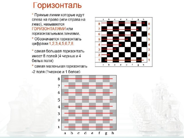 Сколько белых диагоналей на доске. Шахматная доска с линиями горизонтали и вертикали. Горизонталь Вертикаль диагональ в шахматах. Диагональ горизонталь Вертикаль на шахматной доске. Горизонталь в шахматах.