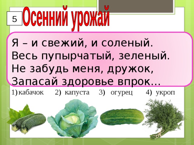 5 Я – и свежий, и соленый. Весь пупырчатый, зеленый.  Не забудь меня, дружок,  Запасай здоровье впрок… кабачок 2) капуста 3) огурец 4) укроп  