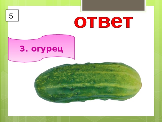 5 3. огурец 