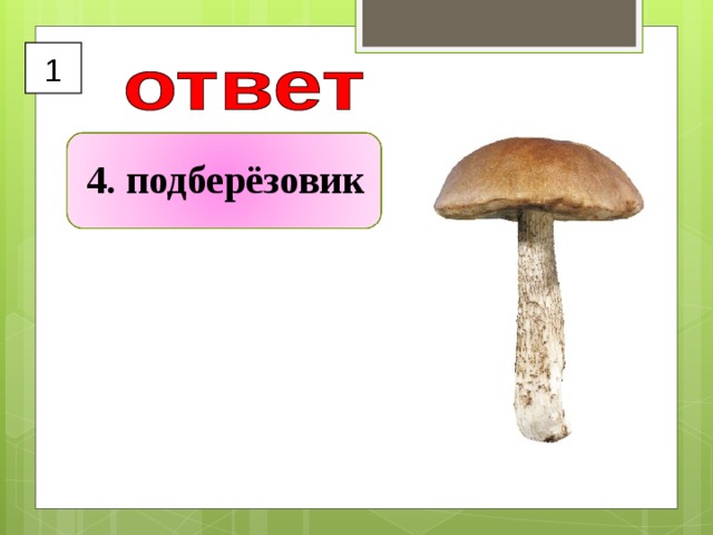  1  4. подберёзовик 