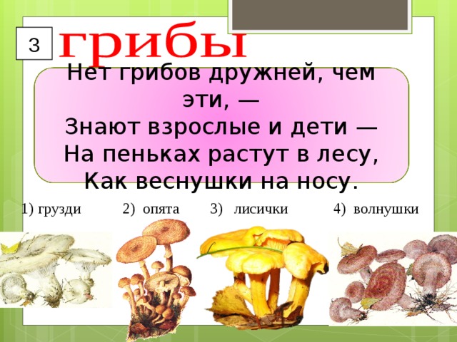 3 Нет грибов дружней, чем эти, —  Знают взрослые и дети —  На пеньках растут в лесу,  Как веснушки на носу. грузди 2) опята 3) лисички 4) волнушки  