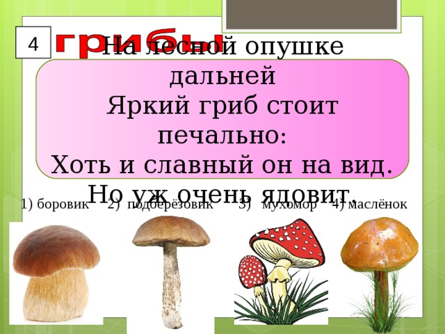 4 На лесной опушке дальней  Яркий гриб стоит печально:  Хоть и славный он на вид.  Но уж очень ядовит. боровик 2) подберёзовик 3) мухомор 4) маслёнок 
