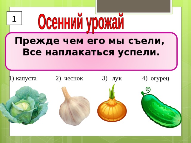 1 Прежде чем его мы съели, Все наплакаться успели.   капуста 2) чеснок 3) лук 4) огурец  3 