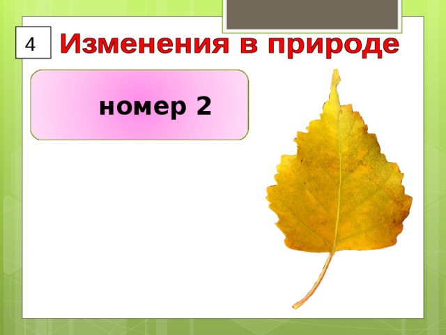 4  номер 2 
