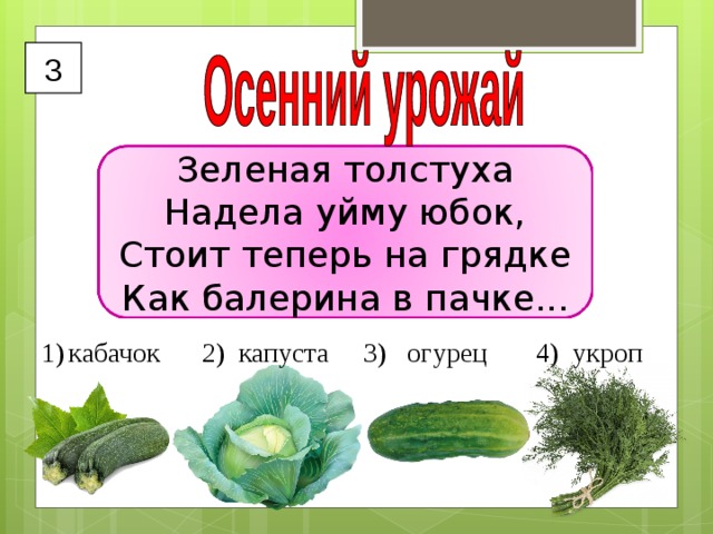 3 Зеленая толстуха  Надела уйму юбок,  Стоит теперь на грядке  Как балерина в пачке... кабачок 2) капуста 3) огурец 4) укроп  
