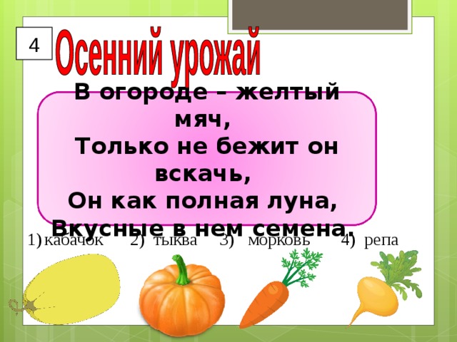 4 В огороде – желтый мяч, Только не бежит он вскачь, Он как полная луна, Вкусные в нем семена. кабачок 2) тыква 3) морковь 4) репа  