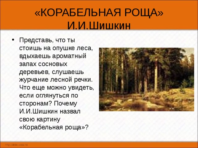 Сочинение по картине корабельная роща. Корабельная роща Шишкин описание. Шишкин Корабельная роща Третьяковка. Картина Шишкина Корабельная роща. Корабельная роща Шишкин колорит.