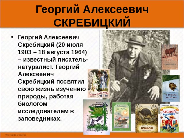 Книги в бианки г скребицкого 1 класс презентация