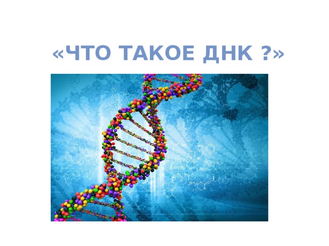  «что такое днк ?» 