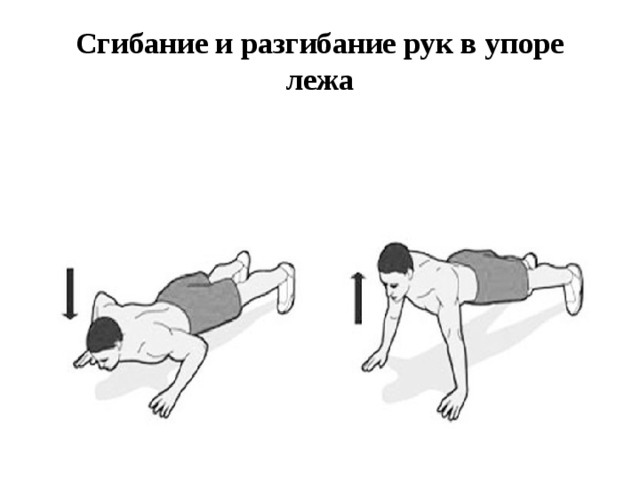 Техника отжиманий гто. Сгибание и разгибание рук в упоре лежа. Техника сгибания и разгибания рук в упоре лежа. Упражнение сгибание и разгибание рук в упоре лежа техника выполнения. Техника выполнения сгибания и разгибания рук в упоре лежа.