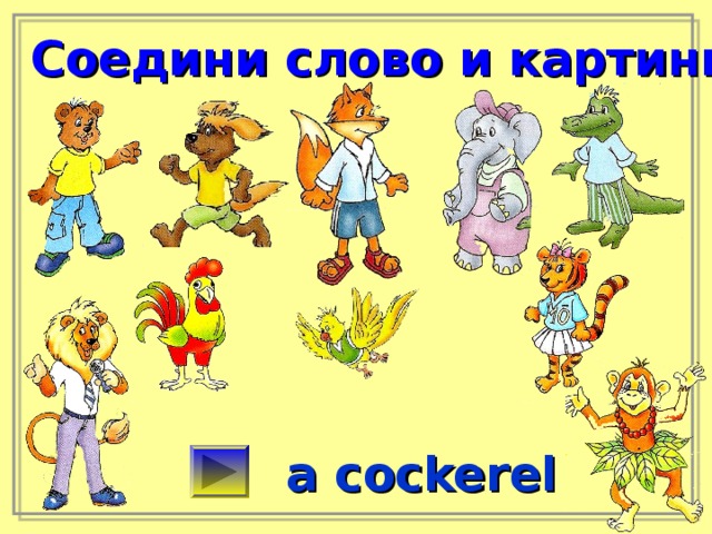 Соедини слово и картинку a cockerel 
