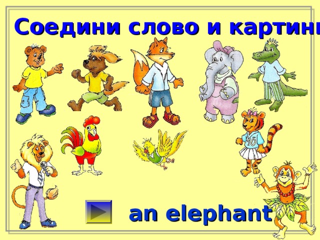 Соедини слово и картинку an elephant 