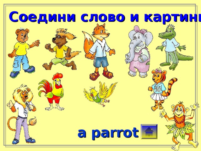 Соедини слово и картинку a parrot 