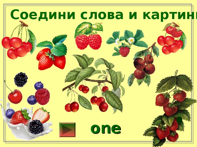 Соедини слова и картинки one 