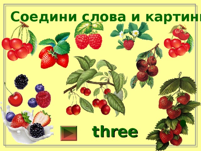 Соедини слова и картинки three 