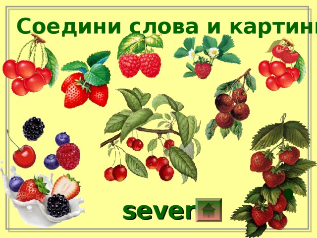 Соедини слова и картинки seven 