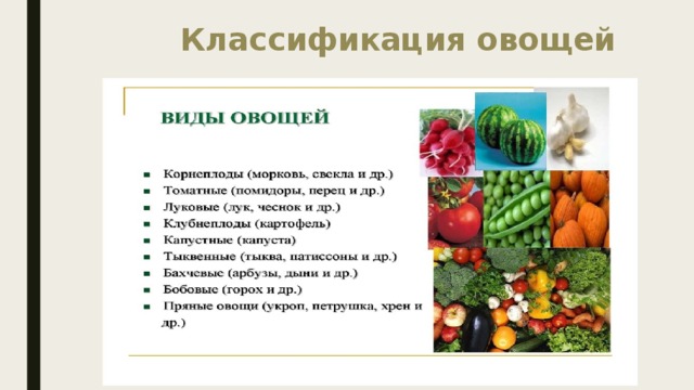  Классификация овощей 