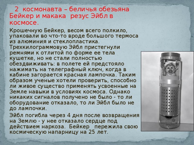  2 космонавта – беличья обезьяна Бейкер и макака резус Эйбл в космосе. Крошечную Бейкер, весом всего полкило, упаковали во что-то вроде большого термоса из алюминия и стеклопластика. Трехкилограммовую Эйбл пристегнули ремнями к отлитой по форме ее тела кушетке, но не стали полностью обездвиживать: в полете ей предстояло нажимать на телеграфный ключ, когда в кабине загорается красная лампочка. Таким образом ученые хотели проверить, способно ли живое существо применять усвоенные на Земле навыки в условиях космоса. Однако никаких сигналов получено не было - то ли оборудование отказало, то ли Эйбл было не до лампочки. Эйбл погибла через 4 дня после возвращения на Землю - у нее отказало сердце под действием наркоза. Бейкер пережила свою космическую напарницу на 25 лет. 