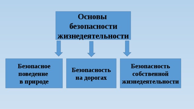 Основы безопасности жизнедеятельности Безопасное поведение в природе Безопасность на дорогах Безопасность собственной жизнедеятельности 