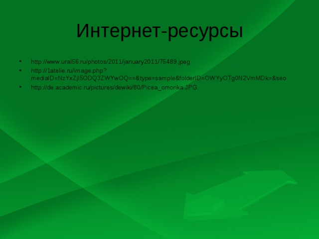 Интернет-ресурсы http://www.ural56.ru/photos/2011/january2011/75489.jpeg http://1atelie.ru/image.php?mediaID=NzYxZjI5ODQ3ZWYwOQ==&type=sample&folderID=OWYyOTg0N2VmMDk=&seo http://de.academic.ru/pictures/dewiki/80/Picea_omorika.JPG  