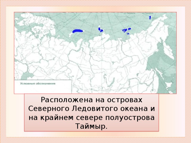 Зона тундр располагается на севере россии