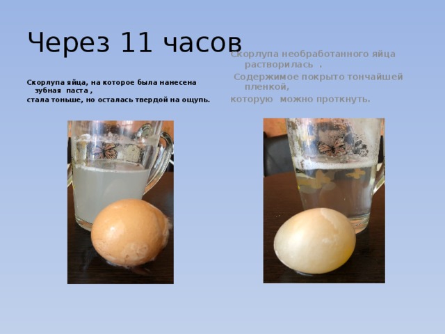 Вред яичной скорлупы Вред яичной скорлупы