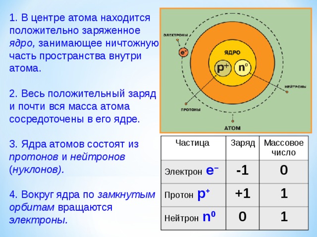 1. В центре атома находится положительно заряженное ядро, занимающее ничтожную часть пространства внутри атома. 2. Весь положительный заряд и почти вся масса атома сосредоточены в его ядре. 3. Ядра атомов состоят из протонов и нейтронов ( нуклонов).  4. Вокруг ядра по замкнутым орбитам вращаются электроны.  Частица Электрон  е – Заряд Массовое число -1 Протон  р + 0 Нейтрон  n 0 +1 1 0 1 