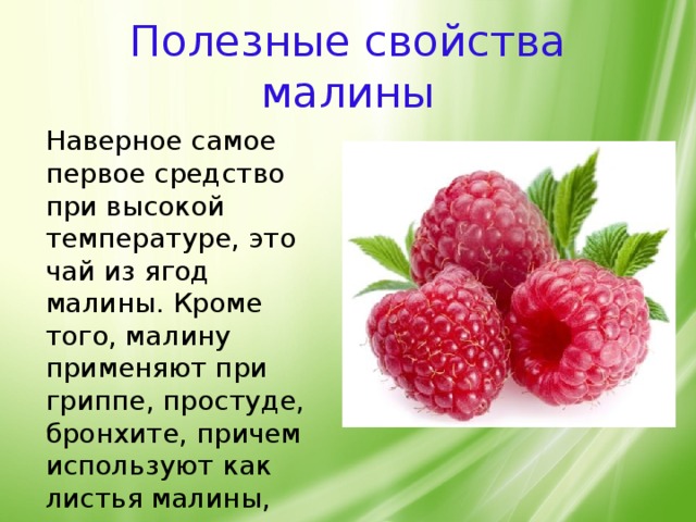 Полезные свойства малины Наверное самое первое средство при высокой температуре, это чай из ягод малины. Кроме того, малину применяют при гриппе, простуде, бронхите, причем используют как листья малины, так и плоды.   