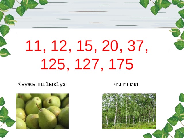 11, 12, 15, 20, 37, 125, 127, 175 Къужъ пш1ык1уз Чъыг щэк1 