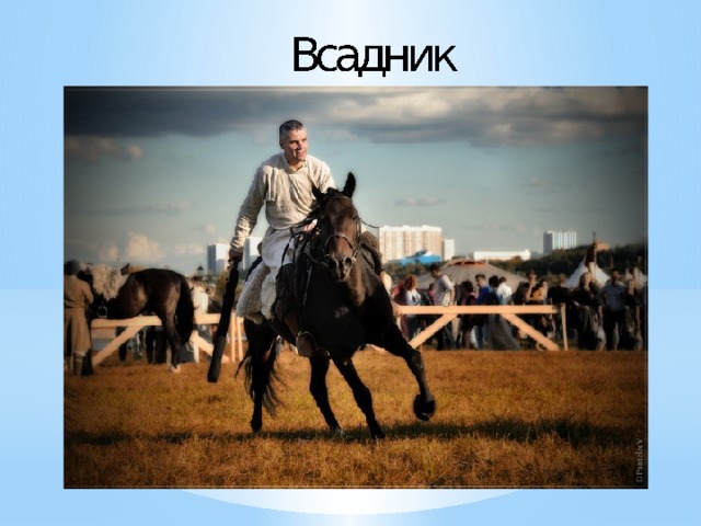 Жж Всадник Курочкин