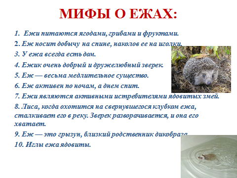 Составьте схему 1 предложения последнего абзаца ежи полезные зверюшки