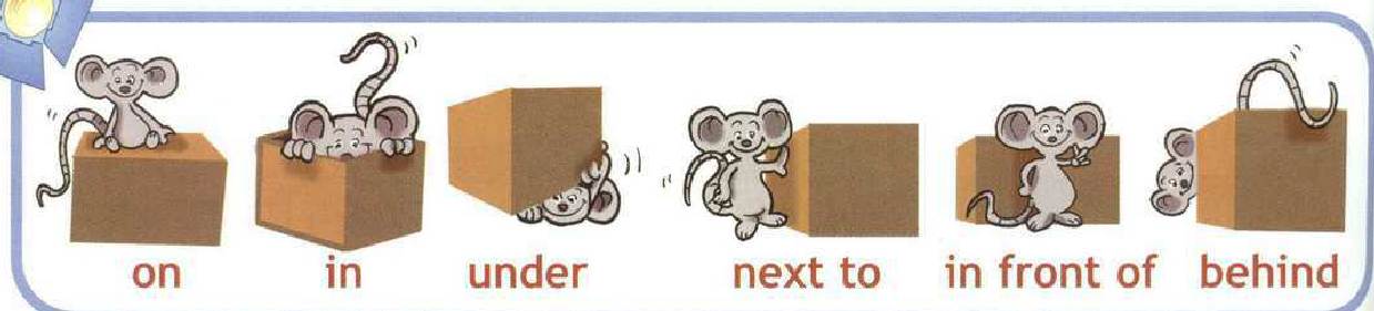 Переведи на английский коробка. Мышонок под коробкой. Коробочка мышка. Мышь в коробке. Мышка под коробкой английский.