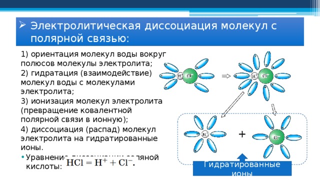 Электролитическая диссоциация молекул с полярной связью: 1) ориентация молекул воды вокруг полюсов молекулы электролита; 2) гидратация (взаимодействие) молекул воды с молекулами электролита; 3) ионизация молекул электролита (превращение ковалентной полярной связи в ионную); 4) диссоциация (распад) молекул электролита на гидратированные ионы. Уравнение диссоциации соляной кислоты: Гидратированные ионы 