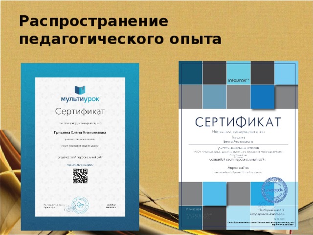 Распространение педагогического опыта 