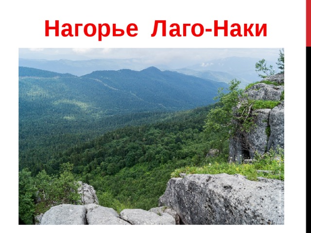 Надпись Лагонаки