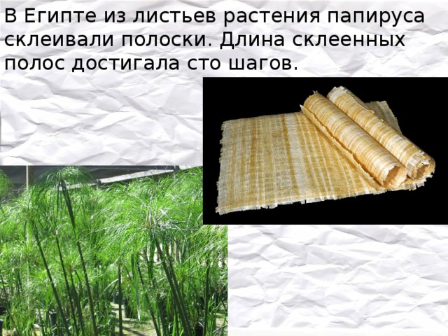 Какова технология изготовления папируса