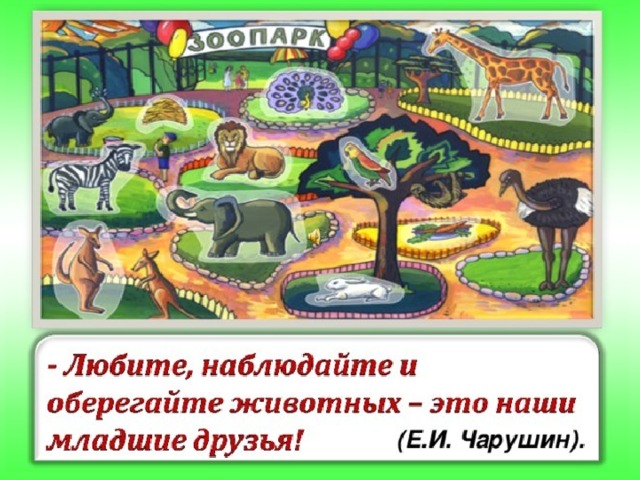 Кабан чарушин презентация 4 класс