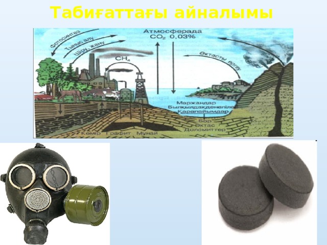 көміртек айналымы