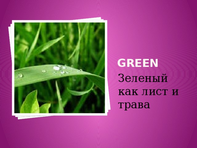 GREEN Зеленый как лист и трава 