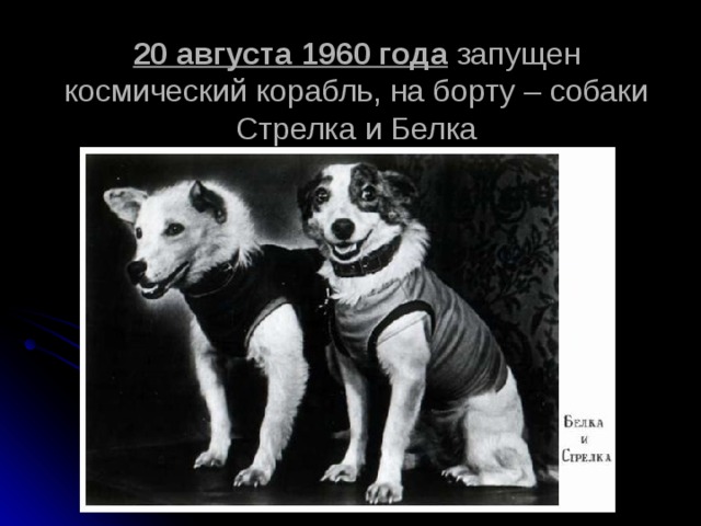 20 августа 1960 года запущен космический корабль, на борту – собаки Стрелка и Белка 