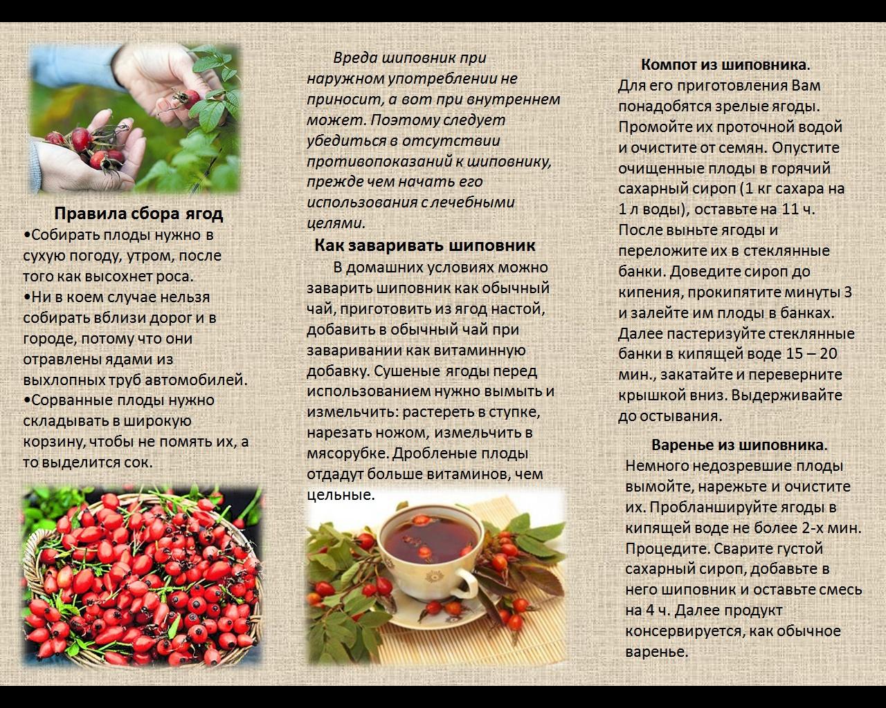 Клюквенный чай технологическая карта