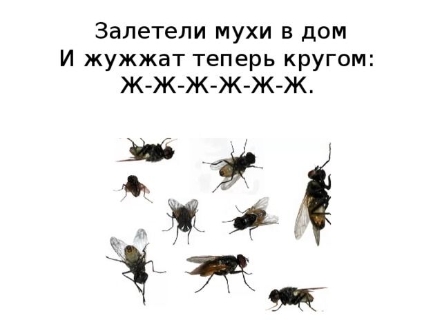 Сильное жужжание