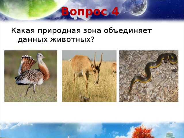 Вопрос 4 Какая природная зона объединяет данных животных? 