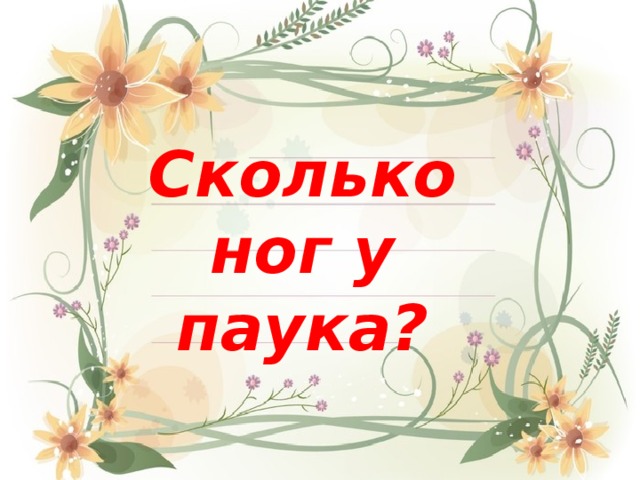 Сколько ног у паука? 