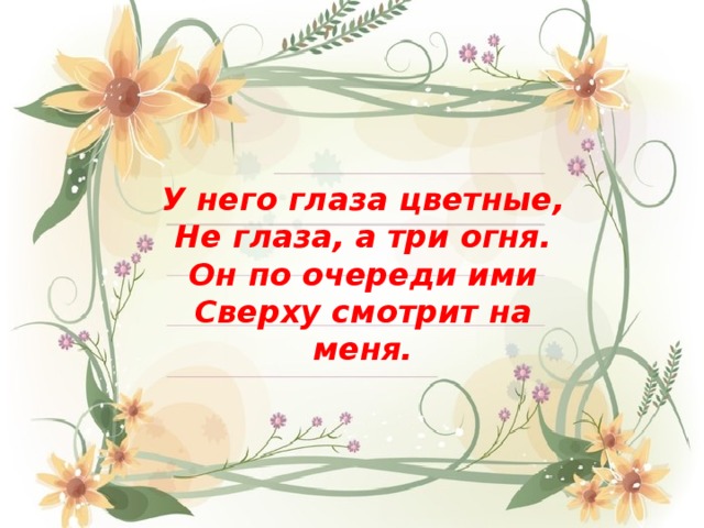 У него глаза цветные, Не глаза, а три огня. Он по очереди ими Сверху смотрит на меня. 